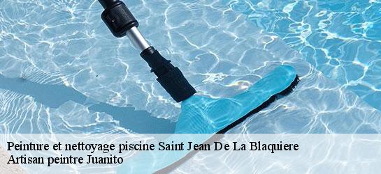 Peinture et nettoyage piscine 34700