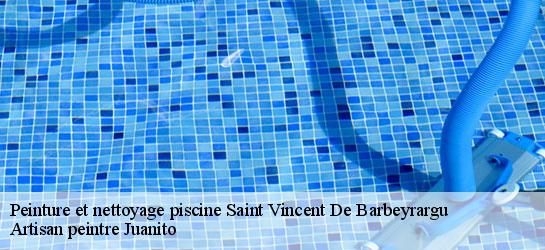 Peinture et nettoyage piscine 34730