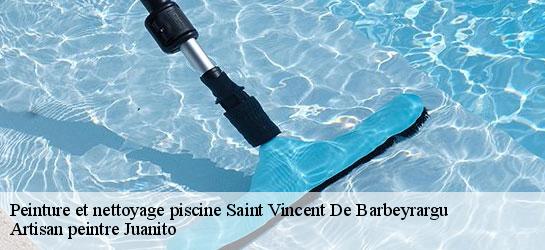 Peinture et nettoyage piscine 34730