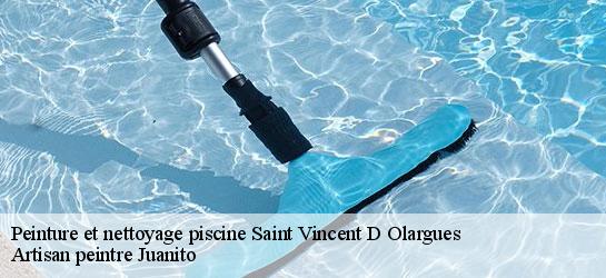 Peinture et nettoyage piscine 34390