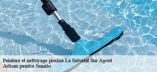 Peinture et nettoyage piscine 34330