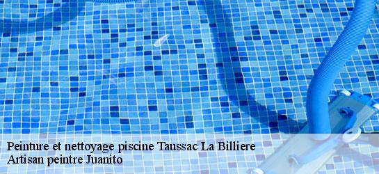 Peinture et nettoyage piscine  34600
