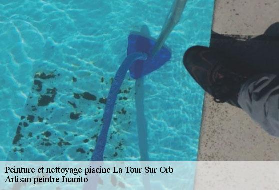 Peinture et nettoyage piscine  la-tour-sur-orb-34260 Artisan peintre Juanito