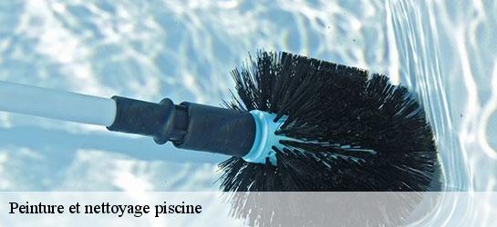 Peinture et nettoyage piscine 34800