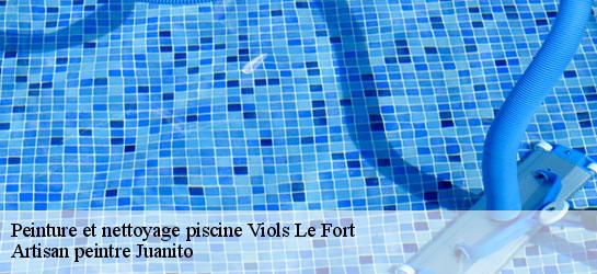 Peinture et nettoyage piscine 34380