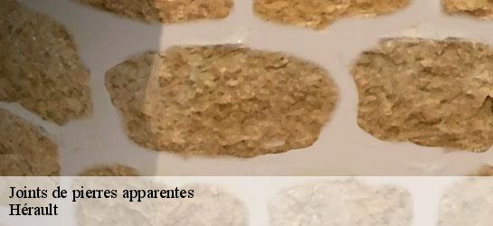 Joints de pierres apparentes Hérault