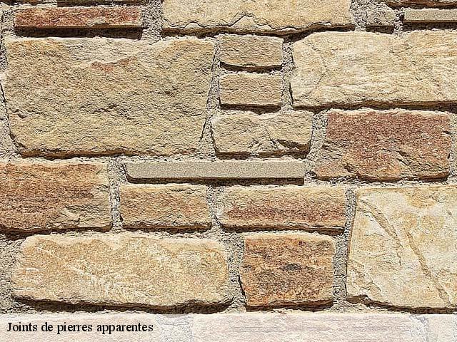 Joints de pierres apparentes Hérault 