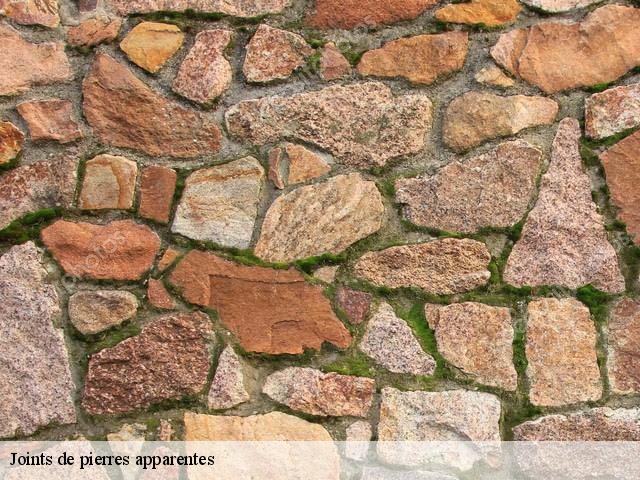 Joints de pierres apparentes Hérault 