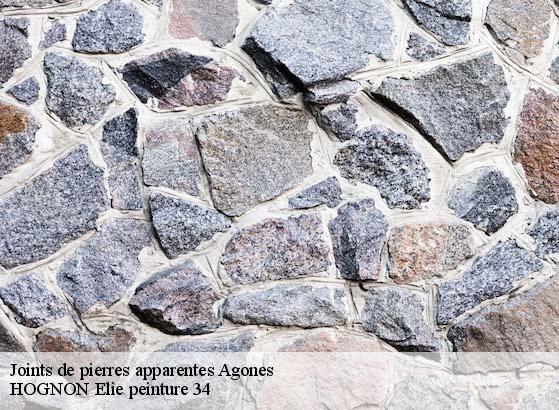 Joints de pierres apparentes  agones-34190 HOGNON Elie peinture 34
