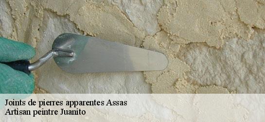 Joints de pierres apparentes  34820