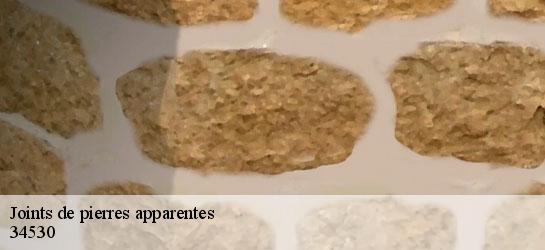 Joints de pierres apparentes 34530