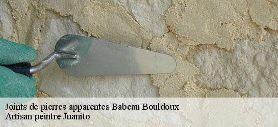 Joints de pierres apparentes  34360