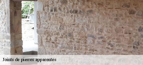 Joints de pierres apparentes  34360