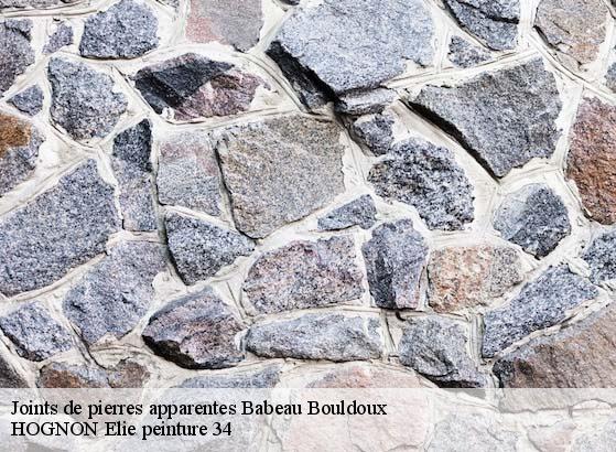 Joints de pierres apparentes  babeau-bouldoux-34360 HOGNON Elie peinture 34
