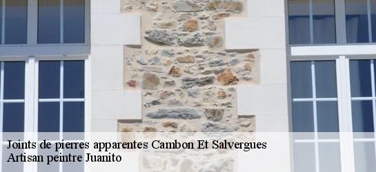 Joints de pierres apparentes 34330