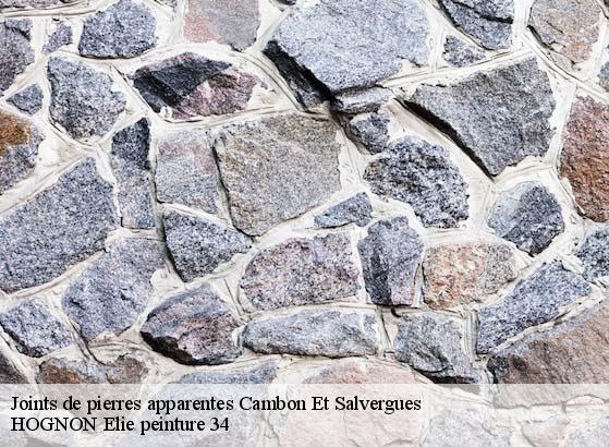 Joints de pierres apparentes  cambon-et-salvergues-34330 HOGNON Elie peinture 34