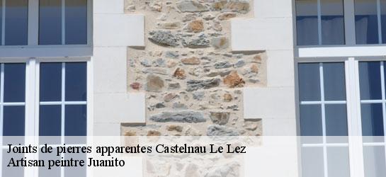 Joints de pierres apparentes  34170