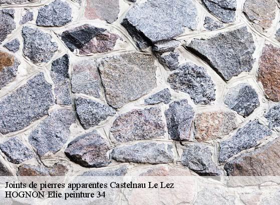 Joints de pierres apparentes  castelnau-le-lez-34170 HOGNON Elie peinture 34