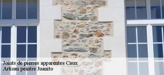 Joints de pierres apparentes  34720