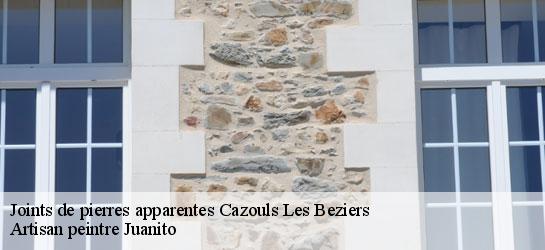 Joints de pierres apparentes  34370