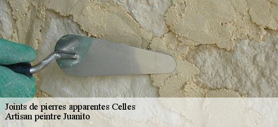 Joints de pierres apparentes  34800