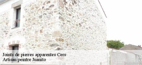 Joints de pierres apparentes  34420