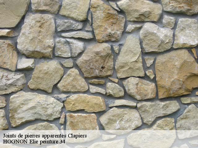 Joints de pierres apparentes  34830