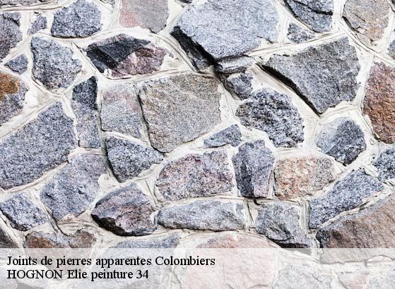 Joints de pierres apparentes  colombiers-34440 HOGNON Elie peinture 34