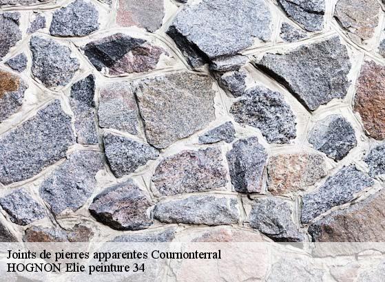 Joints de pierres apparentes  cournonterral-34660 HOGNON Elie peinture 34
