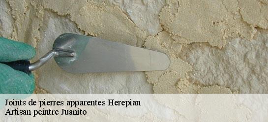Joints de pierres apparentes  34600