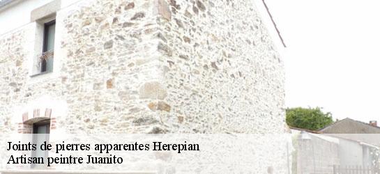 Joints de pierres apparentes  34600