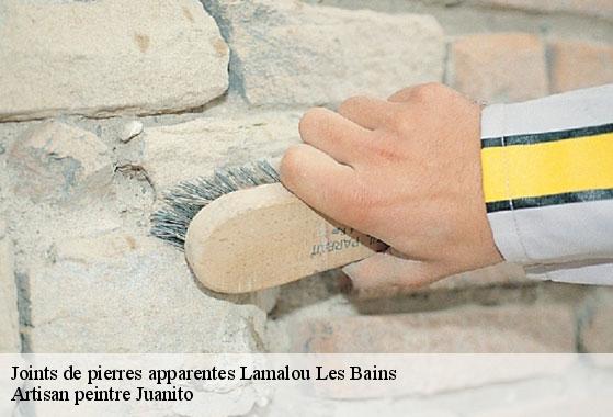 Joints de pierres apparentes  lamalou-les-bains-34240 Artisan peintre Juanito