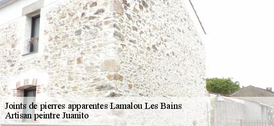 Joints de pierres apparentes  34240