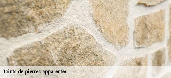 Joints de pierres apparentes 34970