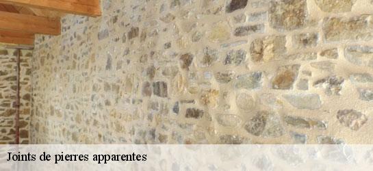Joints de pierres apparentes  34880