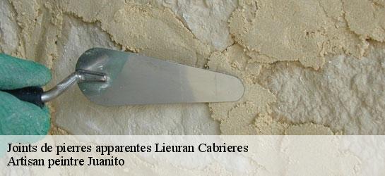 Joints de pierres apparentes  34800