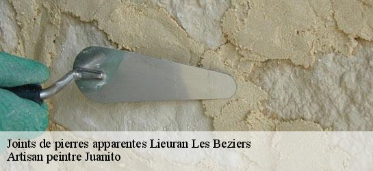 Joints de pierres apparentes  34290