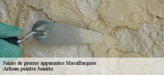 Joints de pierres apparentes 34590
