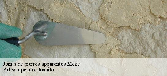 Joints de pierres apparentes  34140