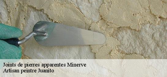 Joints de pierres apparentes 34210