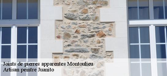 Joints de pierres apparentes 34190