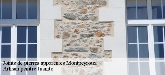 Joints de pierres apparentes  34150