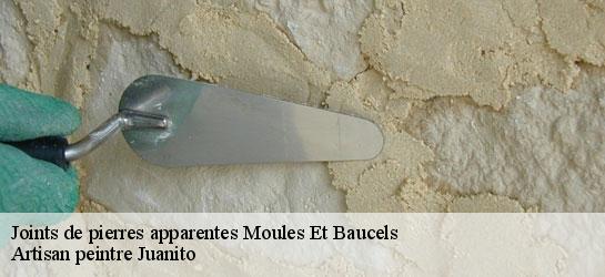 Joints de pierres apparentes 34190
