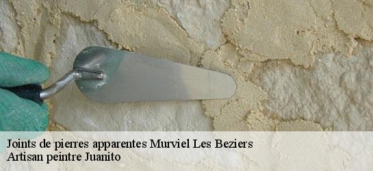 Joints de pierres apparentes  34490