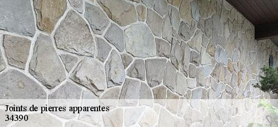 Joints de pierres apparentes  34390