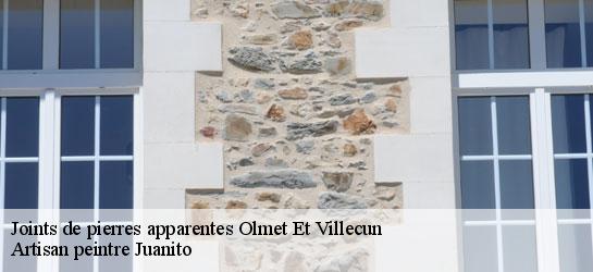 Joints de pierres apparentes 34700