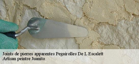 Joints de pierres apparentes  34700