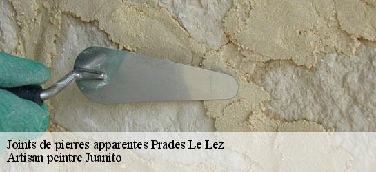 Joints de pierres apparentes  34730