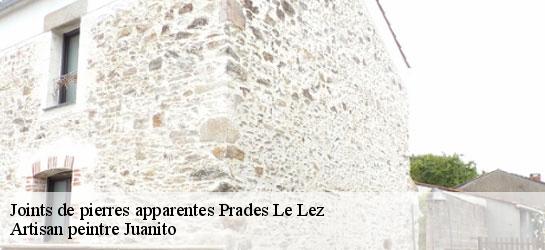 Joints de pierres apparentes  34730