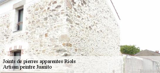 Joints de pierres apparentes  34220